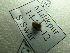  ( - NIBGE COL-01753)  @11 [ ] CreativeCommons - Attribution Non-Commercial Share-Alike (2012) Muhammad Ashfaq National Institute for Biotechnology and Genetic Engineering Faisalabad Pakistan