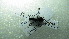  ( - NIBGE COL-02106)  @12 [ ] CreativeCommons - Attribution Non-Commercial Share-Alike (2012) Muhammad Ashfaq National Institute for Biotechnology and Genetic Engineering Faisalabad Pakistan