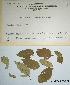  ( - 418MEA-POT-BE4)  @11 [ ] Copyright (2009) Unspecified Natural Resources Canada