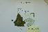  ( - 570MEA-X-ON38)  @11 [ ] Copyright (2009) Unspecified Natural Resources Canada