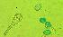  ( - 665ME-POA-BC46)  @11 [ ] Copyright (2009) Unspecified Natural Resources Canada