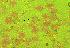  ( - 898MMT-POT-DL1)  @11 [ ] Copyright (2009) Unspecified Natural Resources Canada