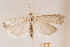  ( - DL14AM1-0013)  @13 [ ] CreativeCommons - Attribution Non-Commercial Share-Alike (2015) Bruno Kistrup Rasmussen Unspecified