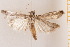  ( - DL14M1-0070)  @14 [ ] CreativeCommons - Attribution Non-Commercial Share-Alike (2015) Bruno Kistrup Rasmussen Unspecified