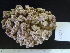  ( - CPVP-441)  @11 [ ] Unspecified (default): All Rights Reserved  Unspecified Unspecified