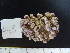  ( - CPVP-443)  @11 [ ] Unspecified (default): All Rights Reserved  Unspecified Unspecified