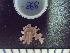  ( - CPVP-868)  @11 [ ] Unspecified (default): All Rights Reserved  Unspecified Unspecified