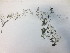  ( - MRB000039)  @11 [ ] Copyright  Unspecified Unspecified