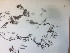  ( - MRB000035)  @11 [ ] Copyright  Unspecified Unspecified