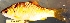  ( - MAHN1897)  @11 [ ] Copyright (2018) PHCDBS Paul Hebert Centre For DNA Barcoding & Biodiversity Studies