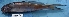  ( - MAHN1916)  @11 [ ] Copyright (2018) PHCDBS Paul Hebert Centre For DNA Barcoding & Biodiversity Studies