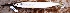  ( - MAHN2183)  @11 [ ] Copyright (2018) PHCDBS Paul Hebert Centre For DNA Barcoding & Biodiversity Studies
