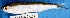  ( - MAHN2321)  @11 [ ] Copyright (2018) PHCDBS Paul Hebert Centre For DNA Barcoding & Biodiversity Studies
