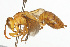  ( - NIBGE IMB-00109)  @13 [ ] CreativeCommons - Attribution Non-Commercial (2009) Muhammad Ashfaq, NIBGE Unspecified