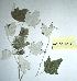  ( - 664ME-POA-BC45.1)  @11 [ ] Copyright (2009) Unspecified Natural Resources Canada