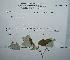  ( - 665ME-POA-BC46.1)  @11 [ ] Copyright (2009) Unspecified Natural Resources Canada