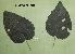  ( - 893MPO-PTA-FR4.1)  @11 [ ] Copyright (2009) Unspecified Natural Resources Canada