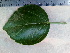  ( - MALHI_0039)  @11 [ ] CreativeCommons - Attribution Non-Commercial Share-Alike (2017) Geeta Selvarajah INTI INTERNATIONAL UNIVERSITY