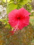  ( - MALHI_0044)  @11 [ ] CreativeCommons - Attribution Non-Commercial Share-Alike (2017) Geeta Selvarajah INTI INTERNATIONAL UNIVERSITY