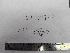  ( - Croce_340)  @11 [ ] CreativeCommons - Attribution Non-Commercial (2013) Unspecified Universidad Nacional del Sur