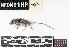  ( - SOAP.20180911.R2563.E)  @11 [ ] CreativeCommons - Attribution Share-Alike (2025) Unspecified Arizona State University