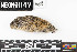 ( - BARR.20180723.830845.E)  @11 [ ] CreativeCommons - Attribution Share-Alike (2025) Unspecified Arizona State University