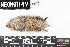  ( - BARR.20180723.830845.E)  @11 [ ] CreativeCommons - Attribution Share-Alike (2025) Unspecified Arizona State University