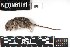  ( - SJER.20180117.R1484.E)  @11 [ ] CreativeCommons - Attribution Share-Alike (2025) Unspecified Arizona State University