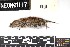  ( - TOOL.20180725.R3566.E)  @11 [ ] CreativeCommons - Attribution Share-Alike (2025) Unspecified Arizona State University