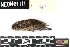 ( - BARR.20190719.218622.E)  @11 [ ] CreativeCommons - Attribution Share-Alike (2025) Unspecified Arizona State University