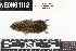  ( - BARR.20190814.218812.E)  @11 [ ] CreativeCommons - Attribution Share-Alike (2025) Unspecified Arizona State University