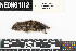  ( - BARR.20190814.218812.E)  @11 [ ] CreativeCommons - Attribution Share-Alike (2025) Unspecified Arizona State University