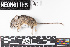  ( - SJER.20190404.R1593.E)  @11 [ ] CreativeCommons - Attribution Share-Alike (2025) Unspecified Arizona State University