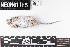  ( - SJER.20190404.R1593.E)  @11 [ ] CreativeCommons - Attribution Share-Alike (2025) Unspecified Arizona State University