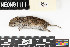  ( - TOOL.20190621.828364.E)  @11 [ ] CreativeCommons - Attribution Share-Alike (2025) Unspecified Arizona State University