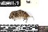  ( - TOOL.20190621.R3643.E)  @11 [ ] CreativeCommons - Attribution Share-Alike (2025) Unspecified Arizona State University