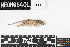  ( - CPER.20210406.775138.E)  @11 [ ] CreativeCommons - Attribution Share-Alike (2025) Unspecified Arizona State University