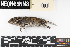  ( - HEAL.20210722.R4885.E)  @11 [ ] CreativeCommons - Attribution Share-Alike (2025) Unspecified Arizona State University