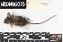  ( - WREF.20210618.R2513.E)  @11 [ ] CreativeCommons - Attribution Share-Alike (2025) Unspecified Arizona State University