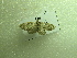  ( - NIBGE MOT-01219)  @12 [ ] CreativeCommons - Attribution Non-Commercial Share-Alike (2011) Muhammad Ashfaq National Institute for Biotechnology and Genetic Engineering Faisalabad Pakistan