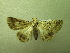  ( - NIBGE MOT-01317)  @13 [ ] CreativeCommons - Attribution Non-Commercial Share-Alike (2011) Muhammad Ashfaq National Institute for Biotechnology and Genetic Engineering Faisalabad Pakistan