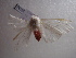  ( - NIBGE MOT-00884)  @12 [ ] CreativeCommons - Attribution Non-Commercial Share-Alike (2010) Muhammad Ashfaq National Institute for Biotechnology and Genetic Engineering Faisalabad Pakistan