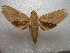  ( - NIBGE MOT-01020)  @11 [ ] CreativeCommons - Attribution Non-Commercial Share-Alike (2011) Muhammad Ashfaq National Institute for Biotechnology and Genetic Engineering Faisalabad Pakistan
