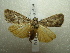  ( - NIBGE MOT-01509)  @13 [ ] CreativeCommons - Attribution Non-Commercial Share-Alike (2012) Muhammad Ashfaq National Institute for Biotechnology and Genetic Engineering Faisalabad Pakistan