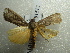  ( - NIBGE MOT-01512)  @13 [ ] CreativeCommons - Attribution Non-Commercial Share-Alike (2012) Muhammad Ashfaq National Institute for Biotechnology and Genetic Engineering Faisalabad Pakistan
