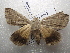  ( - NIBGE MOT-01553)  @13 [ ] CreativeCommons - Attribution Non-Commercial Share-Alike (2012) Muhammad Ashfaq National Institute for Biotechnology and Genetic Engineering Faisalabad Pakistan