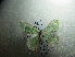  ( - NIBGE MOT-01796)  @12 [ ] CreativeCommons - Attribution Non-Commercial Share-Alike (2012) Muhammad Ashfaq National Institute for Biotechnology and Genetic Engineering Faisalabad Pakistan