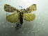  ( - NIBGE MOT-01864)  @13 [ ] CreativeCommons - Attribution Non-Commercial Share-Alike (2012) Muhammad Ashfaq National Institute for Biotechnology and Genetic Engineering Faisalabad Pakistan