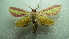  ( - NIBGE MOT-02000)  @14 [ ] CreativeCommons - Attribution Non-Commercial Share-Alike (2012) Muhammad Ashfaq National Institute for Biotechnology and Genetic Engineering Faisalabad Pakistan