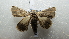  ( - NIBGE MOT-02073)  @13 [ ] CreativeCommons - Attribution Non-Commercial Share-Alike (2012) Muhammad Ashfaq National Institute for Biotechnology and Genetic Engineering Faisalabad Pakistan